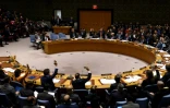Réunion du Conseil de sécurité de l'ONU sur le Venezuela, le 28 février 2019 à New York