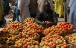 Un homme vend des tomates sur le marché de la localité nigériane de Jibia, fontalière du Niger, le 18 février 2024