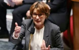 La ministre de l'Agriculture Annie Genevard s'adresse à l'Assemblée nationale le 19 novembre 2024