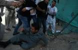 Un policier renversé par des Afghans en colère après l'attentat-suicide le 23 juillet 2016 à Kaboul