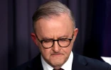 Le Premier ministre australien Anthony Albanese donne une conférence de presse au Parlement après le rejet du référendum sur les droits des Aborigènes le 14 octobre 2023