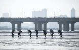 Des travailleurs armés de pics découpent des blocs de glace de la rivière Songhua, le 12 décembre 2019 à Harbin, en Chine
