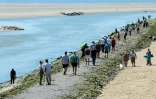 Des touristes viennent contempler des phoques dans la baie d'Authie, près de Berck-sur-Mer (Pas-de-Calais) le 26 mai 2026