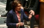 La ministre de l'Agriculture Annie Genevard devant l'Assemblée nationale à Paris le 12 mai 2026