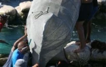 pêche bichique