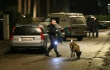 Un policier et son chien sur les lieux où Leonid Volkov, un proche du défunt opposant russe Alexeï Navalny, a été attaqué devant son domicile à Vilnius, le 12 mars 2024 en Lituanie
