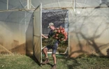 L'agriculteur Nico Thuynsma devant une serre où poussent différentes variétés de protéas dans sa ferme de Cullinan, à l'est de Pretoria, le 3 juin 2025 en Afrique du Sud