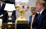 Donald Trump (d), alors président des Etats-Unis, le 13 mai 2019 avec le dirigeant hongrois Viktor Orban à la Maison Blanche