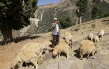 Un berger du hameau d'Imzerri utilise la pratique ancienne du langage sifflé, permettant de communiquer à travers de vastes distances, le 19 août 2025 dans les montagnes de l'Atlas, au Maroc