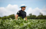 L'ingénieur agronome Adriano Cruvinel inspecte une plantation de soja dans la municipalité de Montividiu, dans l'Etat de Goias, au Brésil, le 22 janvier 2024