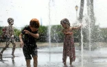 Des enfants jouent dans une fontaine publique à New York, le 19 juillet 2019
