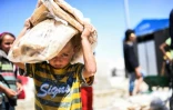 Des enfants syriens ayant fui la région de Raqa, le fief du groupe EI en Syrie, dans un camp de déplacés à Aïn Issa, le 11 juillet 2017