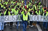 Manifestation de "gilets jaunes", Ă Rochefort (Charente-Maritime) le 24 novembre 2018