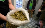Au cours de leur tour dans les coulisses de l'industrie du cannabis, les visiteurs s'arrêtent dans un dispensaire de marijuana, à Los Angeles, le 24 janvier 2019 