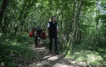 Un promeneur avec son âne dans le parc national des forêts de Champagne et Bourgogne, le 23 mai 2017 près de Châtillon-sur-Seine, en Côte d'Or