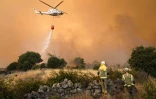 Incendie de forêt à Navalmoral de la Sierra, dans le centre de l'Espagne, le 16 août 2021