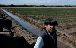 Nicolas Yanzon pose à côté d'un canal d'irrigation et de ses champs d'oignons à Villa Media Agua, en périphérie de San Juan, en Argentine, le 25 avril 2026 