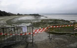 L'accès d'une plage fermé en raison des dépôts d'algues vertes en putréfactino, le 18 janvier 2022 à Hillion, près de Saint-Brieuc