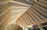 Les charpentes en bois du nouveau musée consacré aux exilés conçu par l'architecte danois Bajarke Ingels, le 25 juin 2022 à Oksbøl, au Danemark
