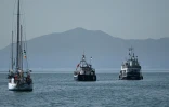 Le navire "Family" (d), qui fait partie de la Flottille internationale pour Gaza, au mouillage au large de Sidi Bou Saïd, près de Tunis, le 9 septembre 2025