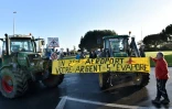 Manifestation contre le projet d'aéroport le 12 janvier 2016 à Saint-Nazaire