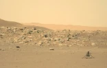L'hélicoptère de la Nasa Ingenuity sur Mars, photographié par le rover Perseverance le 15 juin 2021