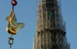 Le nouveau coq prend son envol avant son installation au sommet de la flèche de la cathédrale Notre-Dame, à Paris le 16 décembre 2023