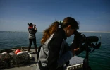 Une équipe de surveillance de l'environnement sur le  banc d'Arguin, îlot "mouvant" de sable près d'Arcachon, en Gironde, le 24 avril 2026