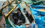 Des policiers lors du démantèlement de la "Jungle" le 3 mars 2016 à Calais