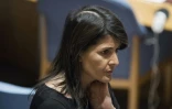 Nikki Haley, ambassadrice des Etats-Unis Ă l'ONU, le 18 janvier 2018, Ă New York