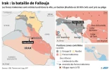 Irak : la bataille de Fallouja