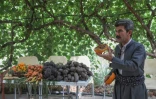 L'agriculteur kurde Azad Mohammad montre les produits de sa ferme près de Halabja, le 6 juillet 2022 en Irak