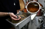 Gaetan Gyger prépare des graines pour distiller du gin dans l'alambique de la distillerie Gagygnole, le 10 mai 2022 à Souboz, en Suisse
