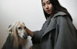 Une femme pose avec son chien qui porte un vêtement assorti aux siens à Milan, le 5 décembre 2017