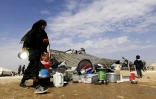 Une femme syrienne déplacée par les combats dans la région de Boukamal, dans un camp à Arisha dans la province voisine de Hassake le 14 octobre 2017