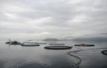 Filets circulaires du fournisseur de produits d'aquaculture à Hitra Bay, à l'est de Trondheim (Norvège) le 22 septembre 2016