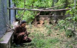 Le soigneur Zaheer Ahmed s'occupe d'un milan au Centre de sauvetage Margallah à Islamabad, le 7 juillet 2026 au Pakistan