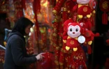 Un singe en peluche à vendre, le 2 février 2016 sur un marché à Hong Kong