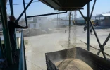 Chargement d'un camion en blé, le 24 mars 2022 à Izmail, en Ukraine