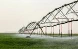 Système d'irrigation pour les cultures de blé en plein désert, près de Kerbala, dans le centre de l'Irak, le 10 avril 2025