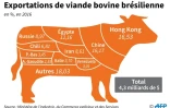 Exportations de viande bovine brésilienne