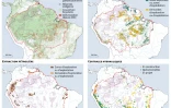 L'Amazonie sous pression