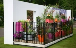 Le "Cirrus Garden", créé par le jardinier amateur Jason Williams lors du RHS Chelsea Flower Show 2022 à Londres le 23 mai 2022