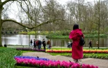 Des visiteurs dans le jardin de Keukenhof, Ă Lisse, le 21 mars 2024 aux Pays-Bas