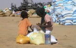 Des fillettes soudanaises ayant fui El-Facher recoivent de l'aide humanitaire dans un camp d'Al-Dabba, dans le nord du Soudan, le 25 nobembre 2025

