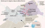 Bombardements du régime sur la Ghouta orientale 