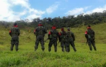 Des guerrilleros de l'ELN dans la région du Catatumbo, dans le nord-est de la Colombie, le 8 mars 2025