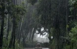 Mercredi 30 janvier 2008 -

De fortes pluies continuent de s'abattre sur La Réunion