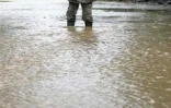 Mercredi 30 janvier 2008 -

De fortes pluies continuent de s'abattre sur La Réunion
