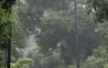Mercredi 30 janvier 2008 -

De fortes pluies continuent de s'abattre sur La Réunion